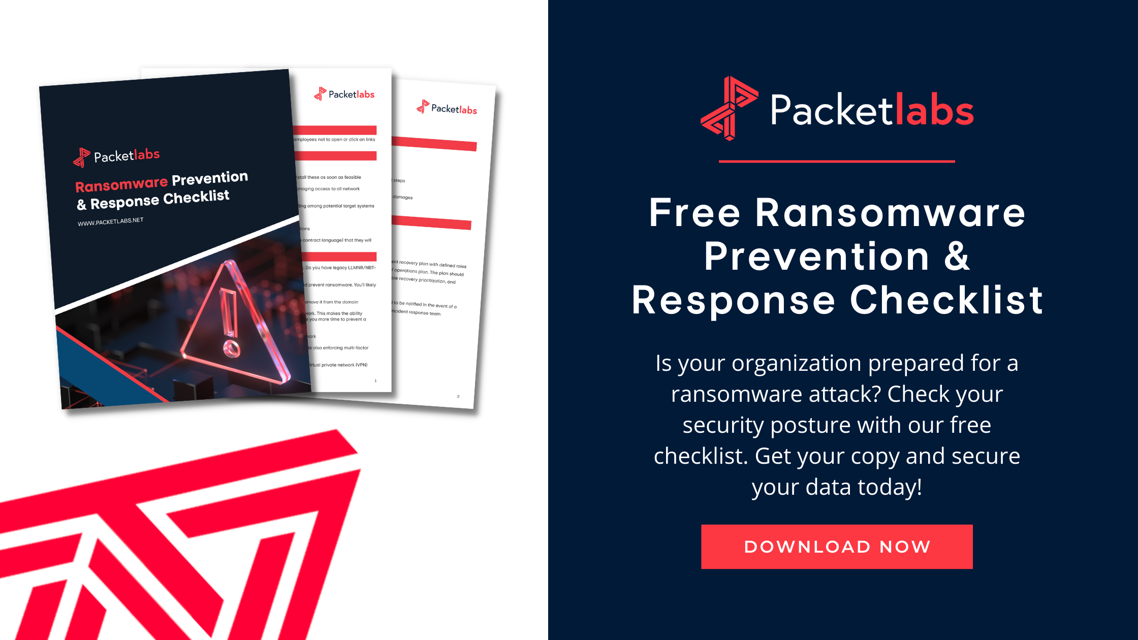 Download Ransomware Checklist